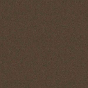 Deep Bronze