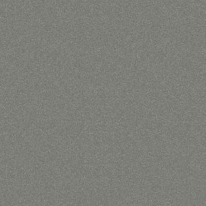 SAF-RAL 9007
