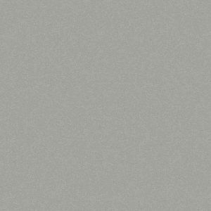 SAF-RAL 9006